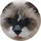NIKitka DANiLiN NIKitka DANiLiN