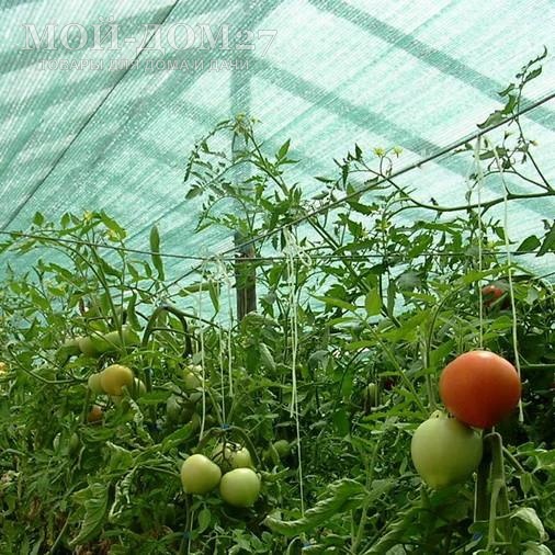 Затеняющая (притеняющая 55%) сетка 3х6 метров | Мой-Дом27 | Комплект: сетка с прошитыми краями - ширина 3 метра, длина 6 метров и клипсы для крепления (длина дуги в теплицы шириной 3 метра - от 5,9 до 5,98 метра).<br>
 Идеально подойдет для затенения теплицы из сотового поликарбоната<br>