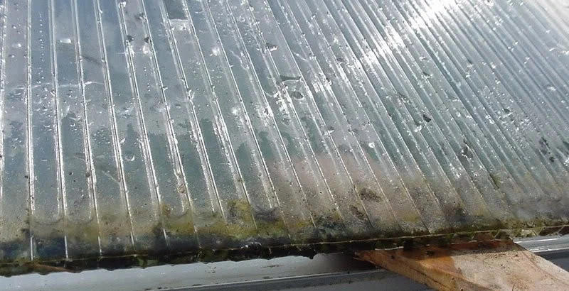 Конденсат и грязь Конденсат и грязь