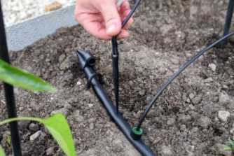 Как заткнуть неиспользуемую капельницу Как заткнуть неиспользуемую капельницу