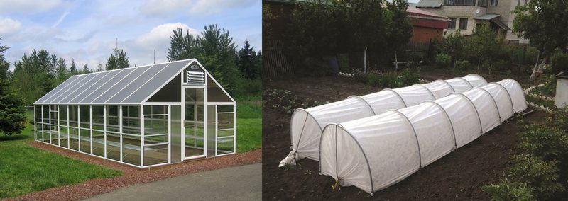 Теплица и Парник отличие Теплица и Парник отличие