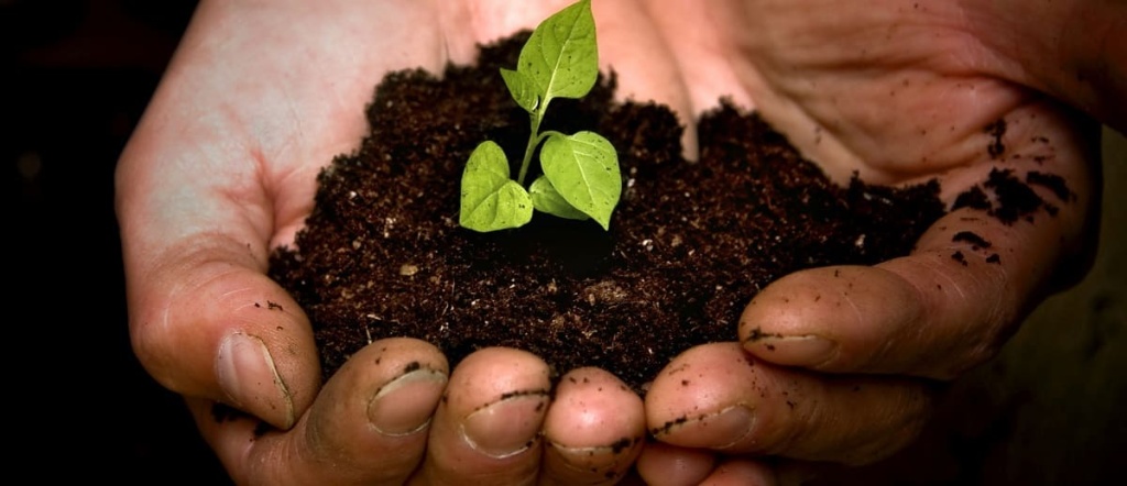 Улучшение состава грунта Улучшение состава грунта