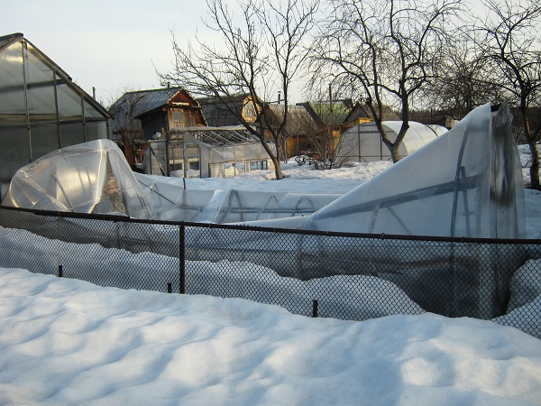 Обрушение теплицы Обрушение теплицы