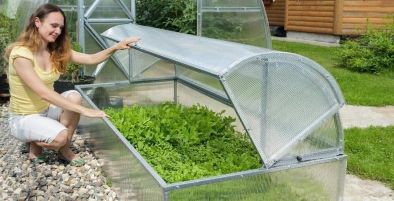 Парник Хлебница Парник Хлебница