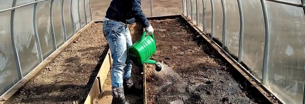 Обеззараживание почвы Обеззараживание почвы