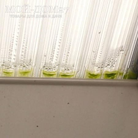 Перфорированная (антипыльная) лента 12 метров | Мой-Дом27 | Лента применяется для защиты открытых ячеек&nbsp;сотового поликарбоната от попадания внутрь&nbsp;жидкость, пыль и грязь.<br>
 Перфорированная структура позволяет выводить конденсат, который образуется при изменении температуры из молекулярной влаги<br>
 проходить не могут.<br>