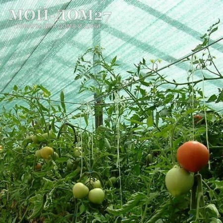 Затеняющая (притеняющая 55%) сетка 3х10 метров | Мой-Дом27 Затеняющая (притеняющая 55%) сетка 3х10 метров | Мой-Дом27 | Комплект: сетка с прошитыми краями - ширина 3 метра, длина 10 метров и клипсы для крепления (длина дуги в теплицы шириной 3 метра - от 5,9 до 5,98 метра).
Идеально подойдет для затенения теплицы из сотового поликарбоната