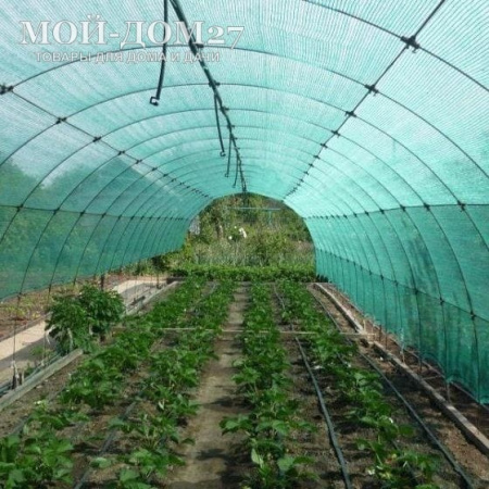 Затеняющая (притеняющая 55%) сетка 4х8 метров | Мой-Дом27 | Комплект: сетка с прошитыми краями - ширина 4 метра, длина 8 метров и клипсы для крепления (длина дуги в теплицы шириной 3 метра - от 5,9 до 5,98 метра, а у теплицы шириной 4 метра длина дуги 8 метров).
Идеально подойдет для затенения теплицы из сотового поликарбоната