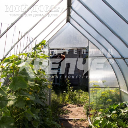 Теплица Каплевидная 8 метров с поликарбонатом | Мой-Дом27 | Каркас изготовлен из оцинкованной замкнутой трубы 20*20 мм.<br>
 Ширина - 2,7 метра. Высота - 2,5 метра. Длина 8 метров.&nbsp;<br>
 Выдерживаемая снеговая нагрузка - 150 кг/м2. Выдерживаемая ветровая нагрузка - до 25 м/с.&nbsp;<br>
 Расстояние между дугами 0,65 метра. Толщина металла 1&nbsp;мм.&nbsp;<b>Форма - капелька</b><br>