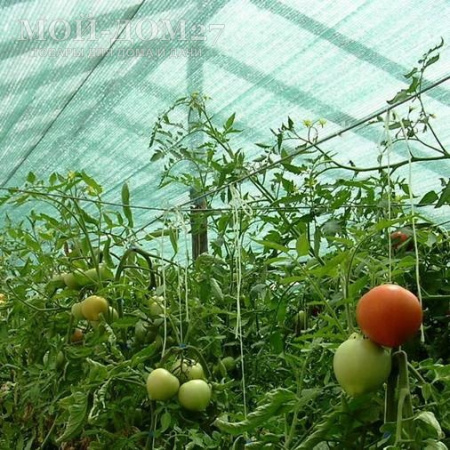 Затеняющая (притеняющая 55%) сетка 3х6 метров | Мой-Дом27 | Комплект: сетка с прошитыми краями - ширина 3 метра, длина 6 метров и клипсы для крепления (длина дуги в теплицы шириной 3 метра - от 5,9 до 5,98 метра).<br>
 Идеально подойдет для затенения теплицы из сотового поликарбоната<br>