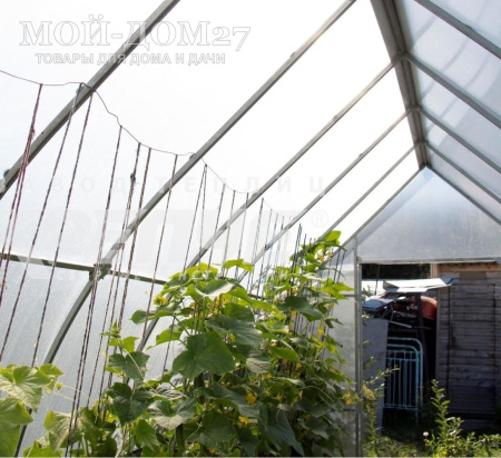 Теплица Каплевидная 4 метра с поликарбонатом | Мой-Дом27 | Каркас изготовлен из оцинкованной замкнутой трубы 20*20 мм.<br>
 Ширина - 2,7 метра. Высота - 2,5 метра. Длина 4 метра.&nbsp;<br>
 Выдерживаемая снеговая нагрузка - 150 кг/м2. Выдерживаемая ветровая нагрузка - до 25 м/с.&nbsp;<br>
 Расстояние между дугами 0,65 метра. Толщина металла 1&nbsp;мм.&nbsp;<b>Форма - капелька</b><br>