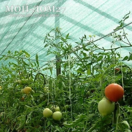 Затеняющая (притеняющая 55%) сетка 4х8 метров | Мой-Дом27 | Комплект: сетка с прошитыми краями - ширина 4 метра, длина 8 метров и клипсы для крепления (длина дуги в теплицы шириной 3 метра - от 5,9 до 5,98 метра, а у теплицы шириной 4 метра длина дуги 8 метров).
Идеально подойдет для затенения теплицы из сотового поликарбоната